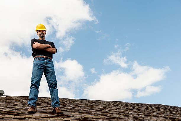 Best Roof Gutter Cleaning  in Lufkin, TX